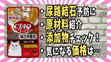 【ウェットフード紹介】「CIAO(チャオ)パウチ 総合栄養食」原材料・添加物・価格を評価【ベンガル/マンチカン/茶トラ】