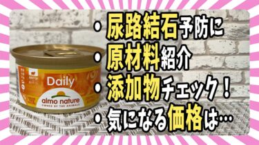 【ウェットフード紹介】「almo nature Dailyアルモネイチャー デイリー総合栄養食」原材料・添加物・価格を評価【ベンガル/マンチカン/茶トラ】