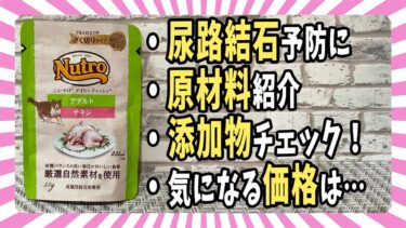 【ウェットフード紹介】「Nutro(ニュートロ)デイリーディッシュ総合栄養食」原材料・添加物・価格を評価【ベンガル/マンチカン/茶トラ】