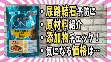 【ウェットフード紹介】「PURINA ONE(ピュリナワン)総合栄養食」原材料・添加物・価格を評価【ベンガル/マンチカン/茶トラ】