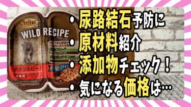 【ウェットフード紹介】「Nutro WILD RECIPE(ニュートロ  ワイルド レシピ)総合栄養食」 原材料・添加物・価格を評価【ベンガル/マンチカン/茶トラ】