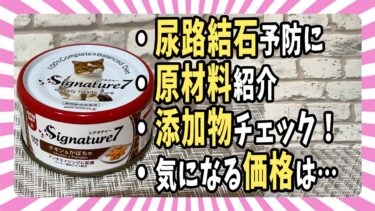 【ウェットフード紹介】「Signature7(シグネチャー7)総合栄養食」原材料・添加物・価格を評価【ベンガル/マンチカン/茶トラ】