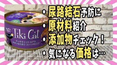 【ウェットフード紹介】「Tiki Cat(ティキキャット)総合栄養食」原材料・添加物・価格を評価【ベンガル/マンチカン/茶トラ】